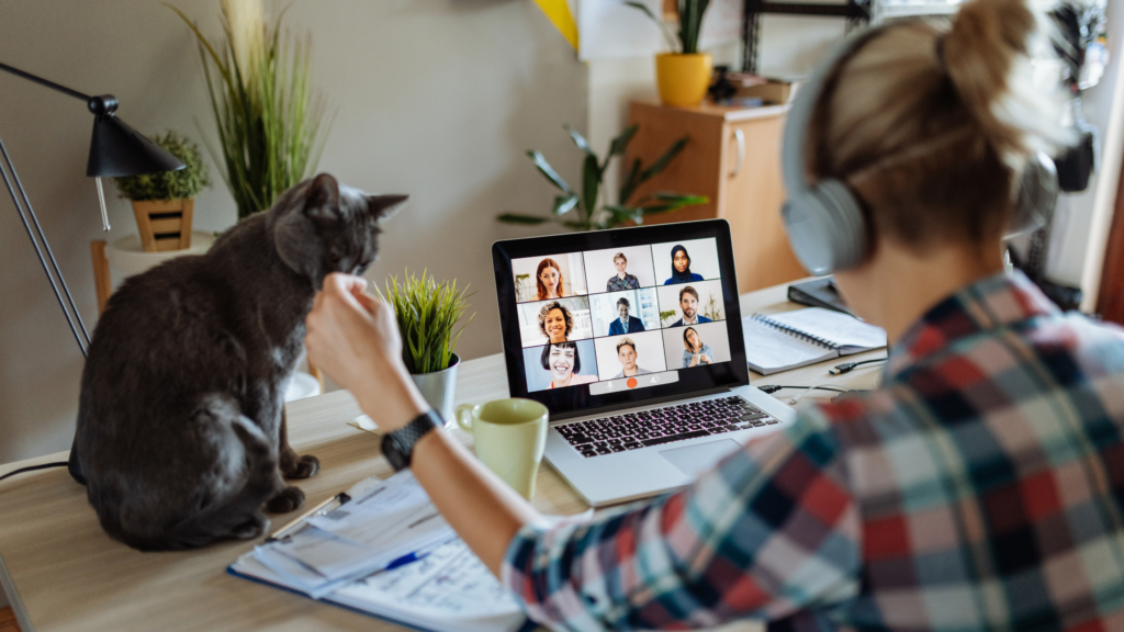 Remote Work San Diego
